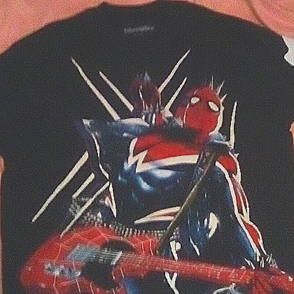 Spider-Punk Tee  Sz.2x